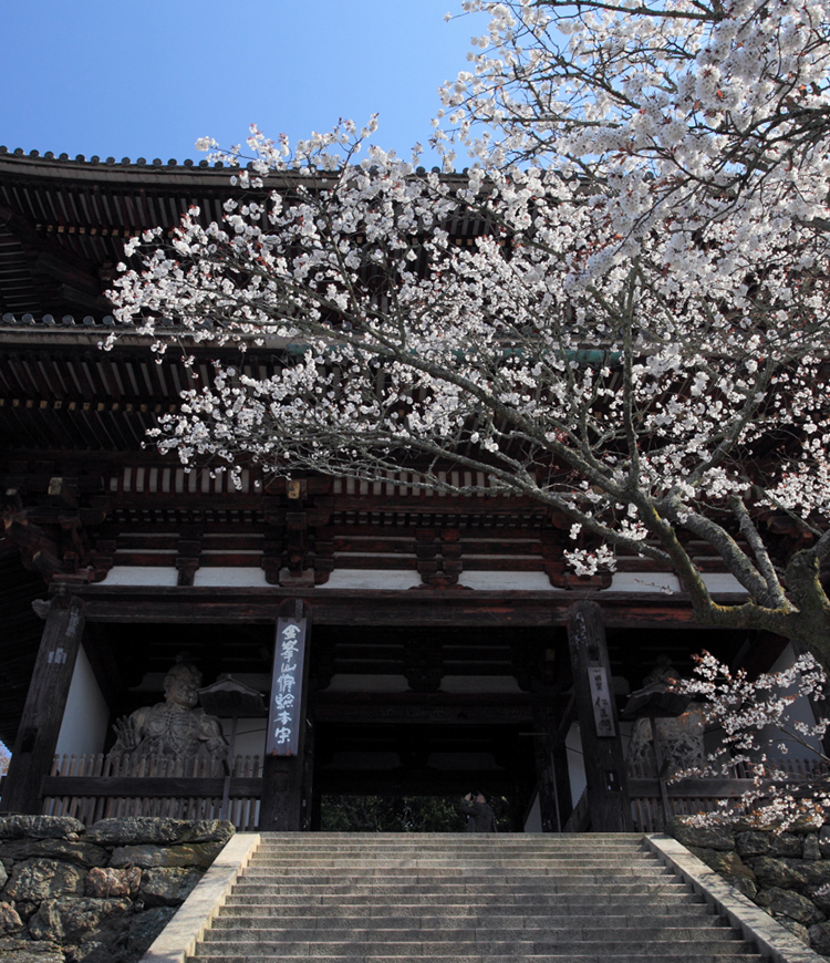 金峯山修験本宗 総本山 金峯山寺