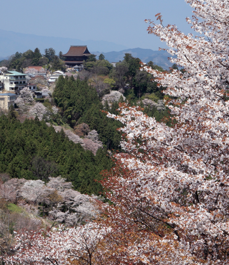 金峯山修験本宗 総本山 金峯山寺